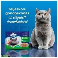 további képek