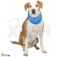 további képek