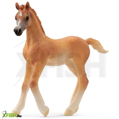 Schleich arab csikó