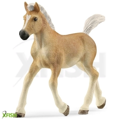 Schleich halfinger csikó