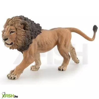 papo afrikai oroszlán