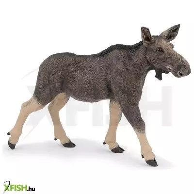 Papo nőstény jávorszarvas