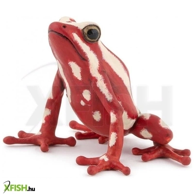 Papo nyílméreg béka