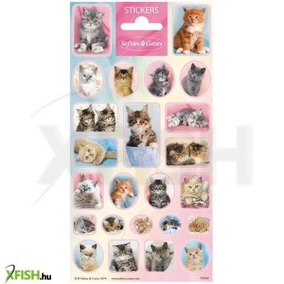 Totum matrica - cicák