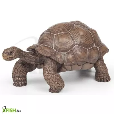 Papo galapagosi teknős