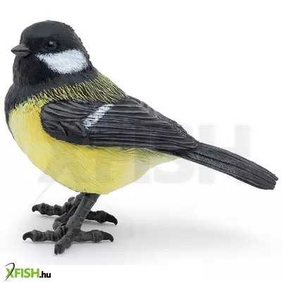 Papo európai cinege