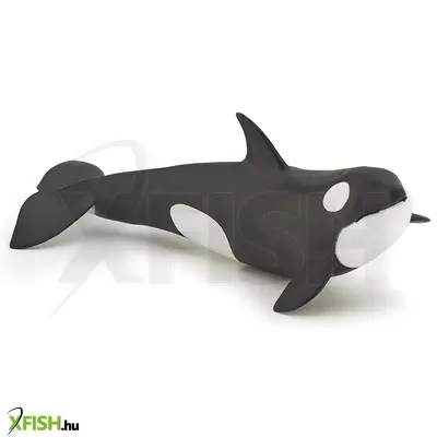 Papo gyilkos bálna borjú