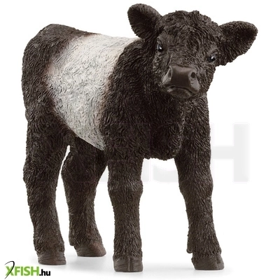 Schleich galloway borjú