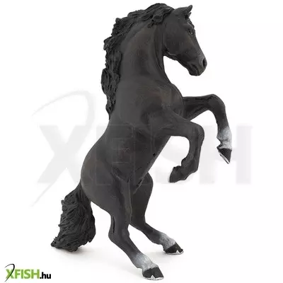 Papo ágaskodó fekete ló