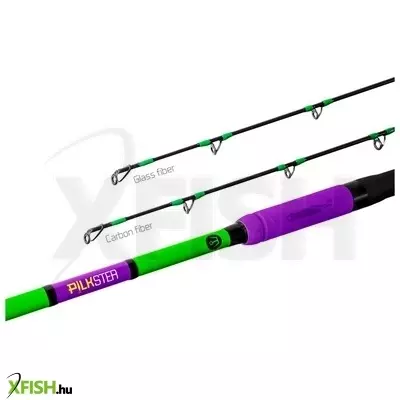 Delphin Pilkster Harcsázó bot 270cm 50-200g 2 Részes