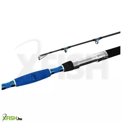Delphin Hazard Harcsázó Bot 225cm 500g 2Részes