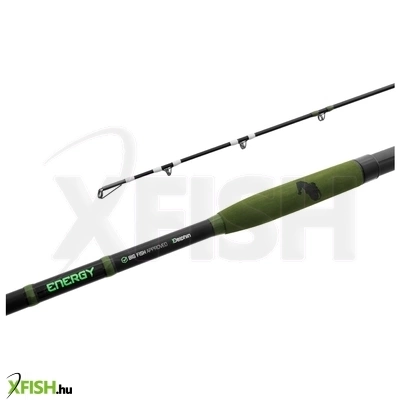 Delphin Energy Catfish Harcsázó Horgászbot 310 cm 250-500 g 2 Részes