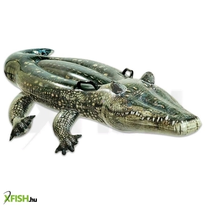 Valósághű aligátor lovagló matrac 170 x 86 cm.