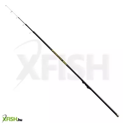 Arno Kame Bolognai Bot 5 m 15 g