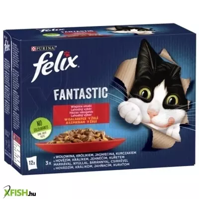 Felix Fantastic Duo Multipack Házias Válogatás Aszpikban 12x85g