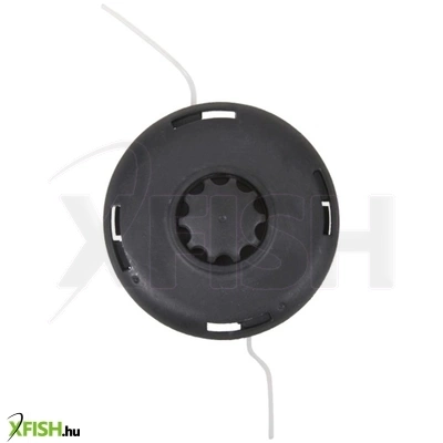 124 r 00004 - damilfej hecht 124r, 130r