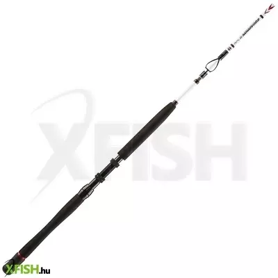 Penn Squadron Travel Boat Csónakos Harcsázó Bot 210cm 20Lbs 5Részes