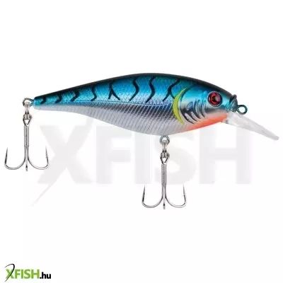 Berkley Flicker Shad Shallow wobbler 2in | 5cm 1/6 oz Blue Tiger 1 Plastic Clam / Blister 2'-4' | 0.5m-1.2m 8 2