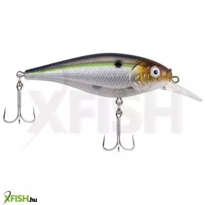 Berkley Flicker Shad Shallow wobbler 2in | 5cm 1/6 oz Blue Smelt 1 Plastic Clam / Blister 2'-4' | 0.5m-1.2m 8 2