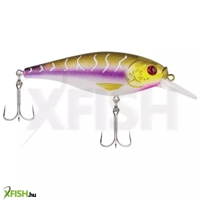 Berkley Flicker Shad Shallow wobbler 2 3/4in | 7cm 2/7 oz Purple Tiger 1 Plastic Clam / Blister 3'-6' | 1m-2m 6 2
