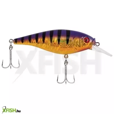 Berkley Flicker Shad Shallow wobbler 2 3/4in | 7cm 2/7 oz Slick Purple Bengal 1 Plastic Clam / Blister 3'-6' | 1m-2m 6 2