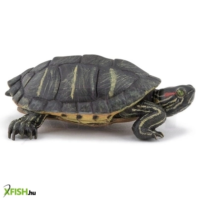 Papo vörösfülű ékszerteknős