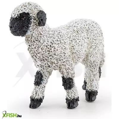 Papo wallisi feketeorrú bárány