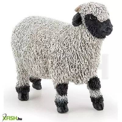 Papo wallisi feketeorrú juh