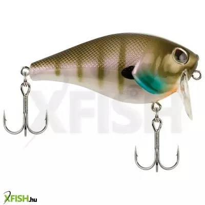 Berkley WakeBull wobbler 60mm 60 (2/5 oz) Ghost Bluegill 1 Plastic Clam / Blister Topwater 6 2