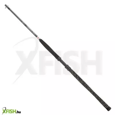 Penn Legion Cat Silver Rvr Monster Harcsázó Horgászbot 290cm Max:450g 2Részes
