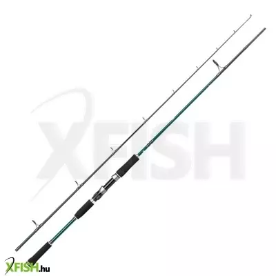 Abu Garcia Beast X Pike Spin Heavy Pergető Bot 254cm 30-110g 2Részes