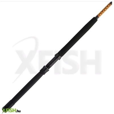 Ugly Stik Bw Suar Cst Harcsázó Horgászbot 168cm 80-130Lbs 1 Részes