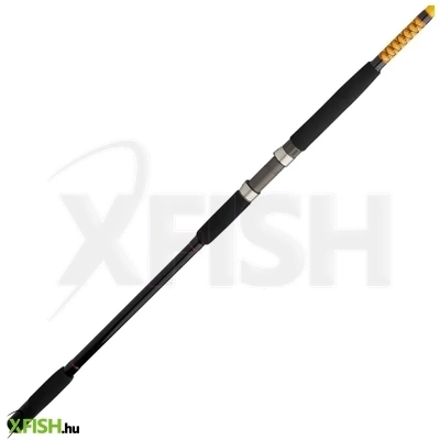 Ugly Stik Bw Sf Cst Harcsázó Horgászbot 300cm 40-80Lbs 2 Részes