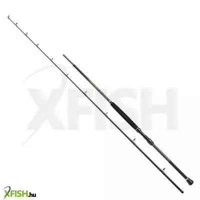 Penn Regiment Boat Braid Harcsázó Horgászbot 250cm 20-30Lbs 2Részes