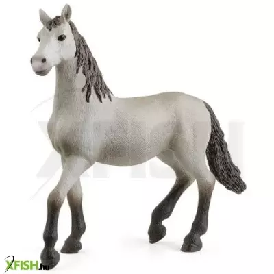 Schleich: Pura Raza Espanola csikó figura 13924
