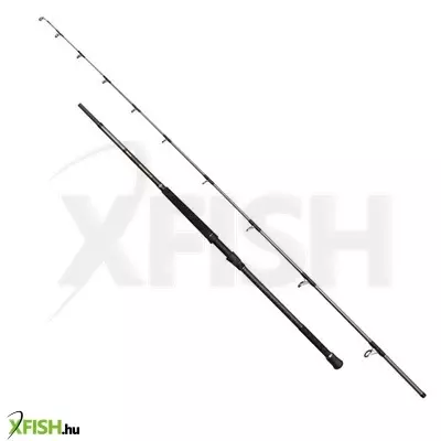Penn Regiment Iv Uptide Harcsázó Horgászbot 304cm 70-300g 2 Részes