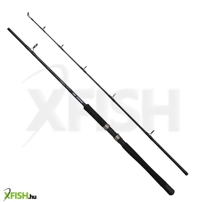 Dam Iconic2 Sw Boat Harcsázó Horgászbot 180cm 100-250g 2 Részes