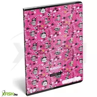 Lollipop: Raccoon Sweetie Négyzetrácsos füzet - A4