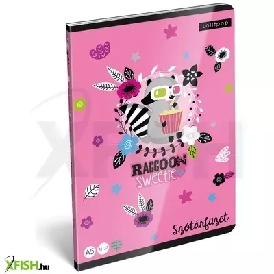 Lollipop: Raccoon Sweetie Szótár füzet - A5