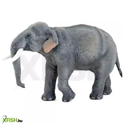 Papo indiai elefánt 50131