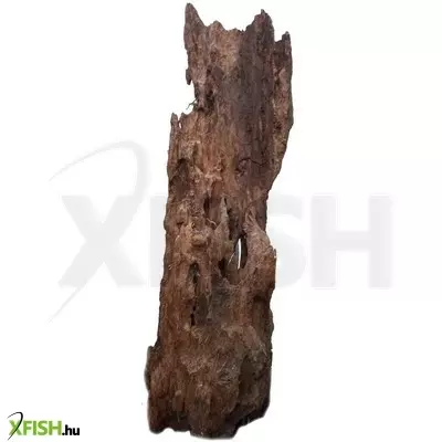 Egyéb vegyes mangrove fagyökér akvárium dekoráció - pookaholes