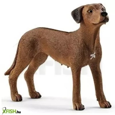 Schleich: Afrikai oroszlánkutya figura 13895