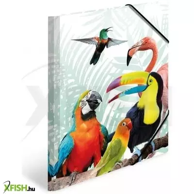 Herma: Trópusi madár mintás gumis mappa, A4