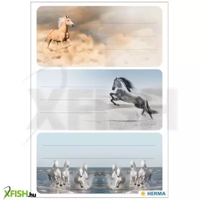 Herma: Vágtató lovak füzetcímke