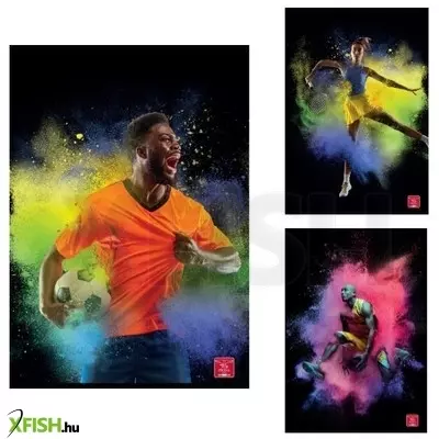 Pigna: Ready for Sport vonalas füzet, A4 - többféle