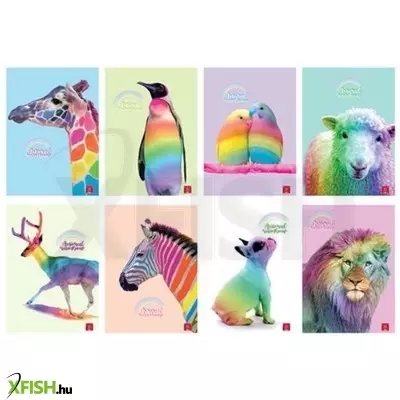 Pigna: Animal Rainbow négyzetrácsos füzet, A4 - többféle