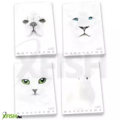 Pigna: Monocromo White négyzetrácsos füzet, A4 - többféle