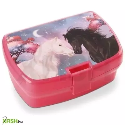 Nici: Soulmates uzsonnás doboz