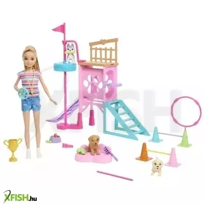 Barbie: Stacie to the Rescue - Kutyaiskola játékszett
