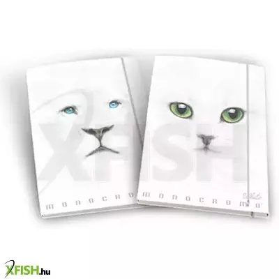 Pigna: Fehér gumis mappa állatmintával, A4 - többféle